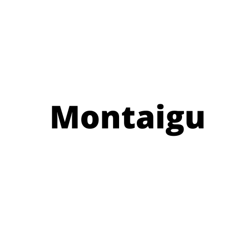 Montaigu